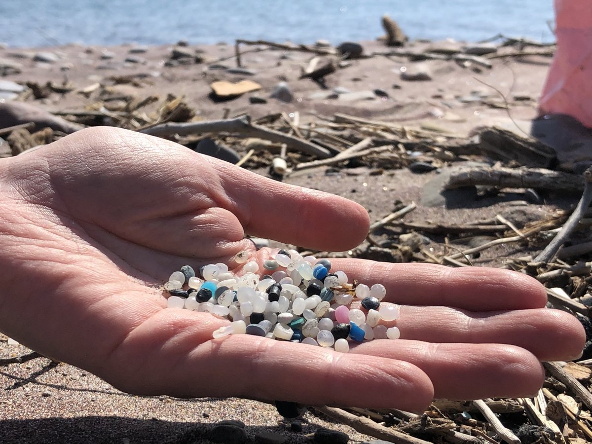 What has IMO done to regulate the transport of plastic pellets by sea ? Find out more about this issue here: tinyurl.com/387wp2ua
#PlasticPellet #MarineLitter