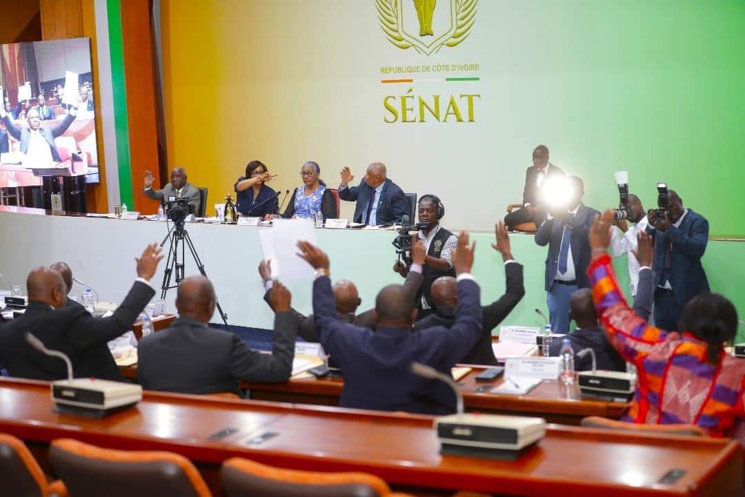 Côte d'Ivoire : Le projet de loi relatif aux communications électroniques adopté à l’unanimité par le Sénat - digitalbusiness.africa/cote-divoire-l… via @DigitalBusiness #DigitalBusinessAfrica