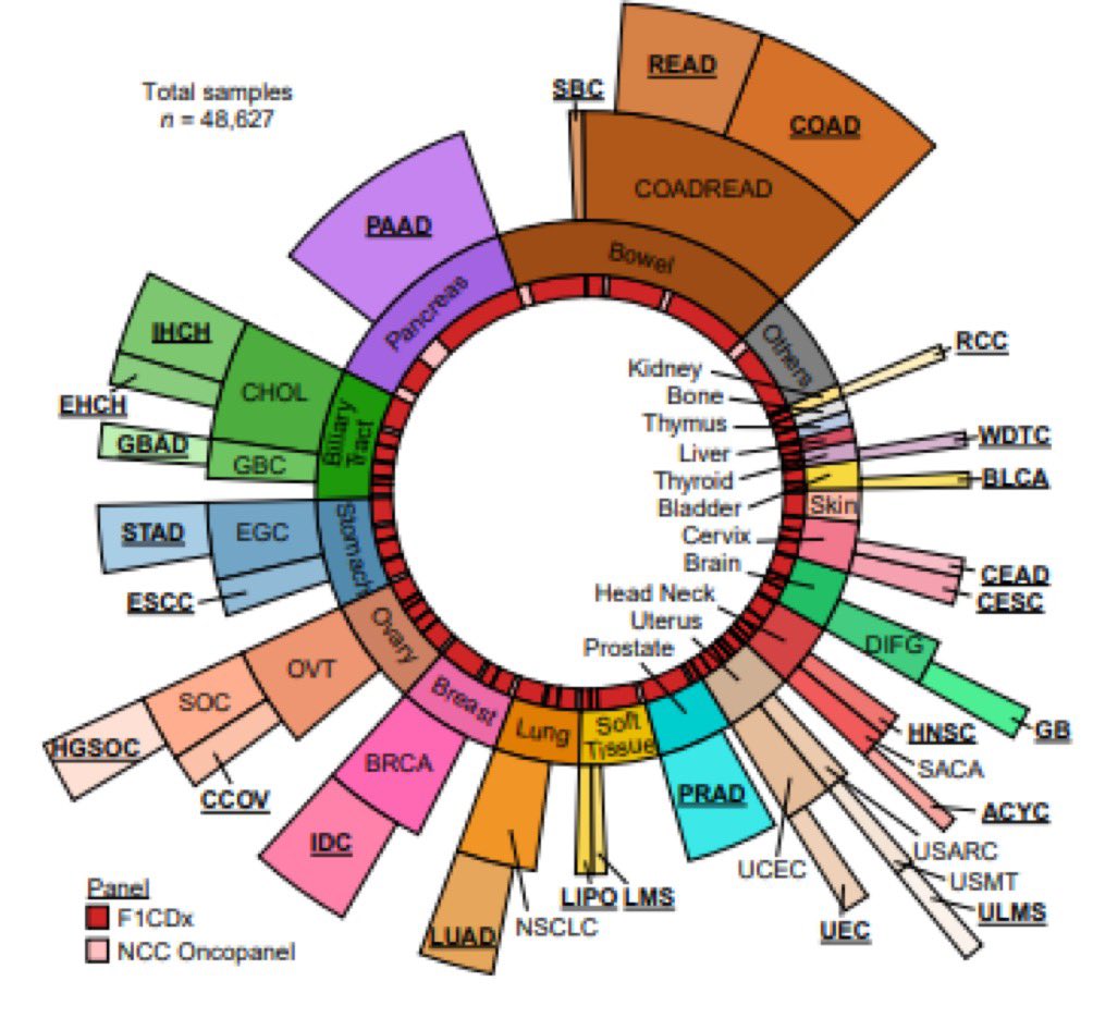 Pan-Cancer Comparative and Integrative Analyses of Driver Alterations Using Japanese and International Genomic Databases @CD_AACR @AACR @OncoAlert @Sara_Horie @YukiSaito_MDPhD @kataoka_lab @NccriOfficial @NccCat doi.org/10.1158/2159-8…