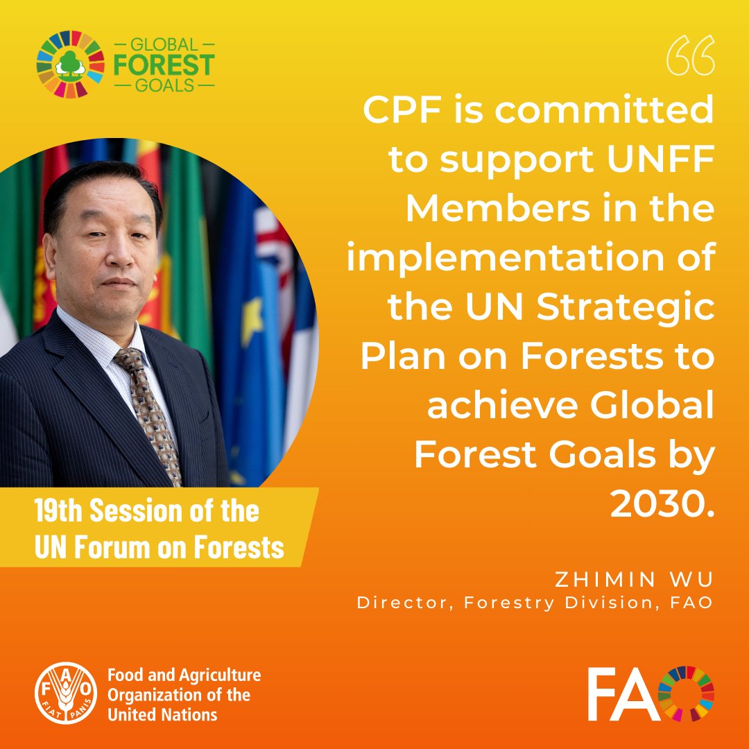 During his joint statement as Chair of #CPForests, @FAO's Zhimin Wu emphasized that the Collaborative Partnership on Forests is committed to accelerate impactful joint actions to achieve #GlobalForestGoals. 🔗Link to CPF Call to Action: bit.ly/4btQgWK #UNFF19