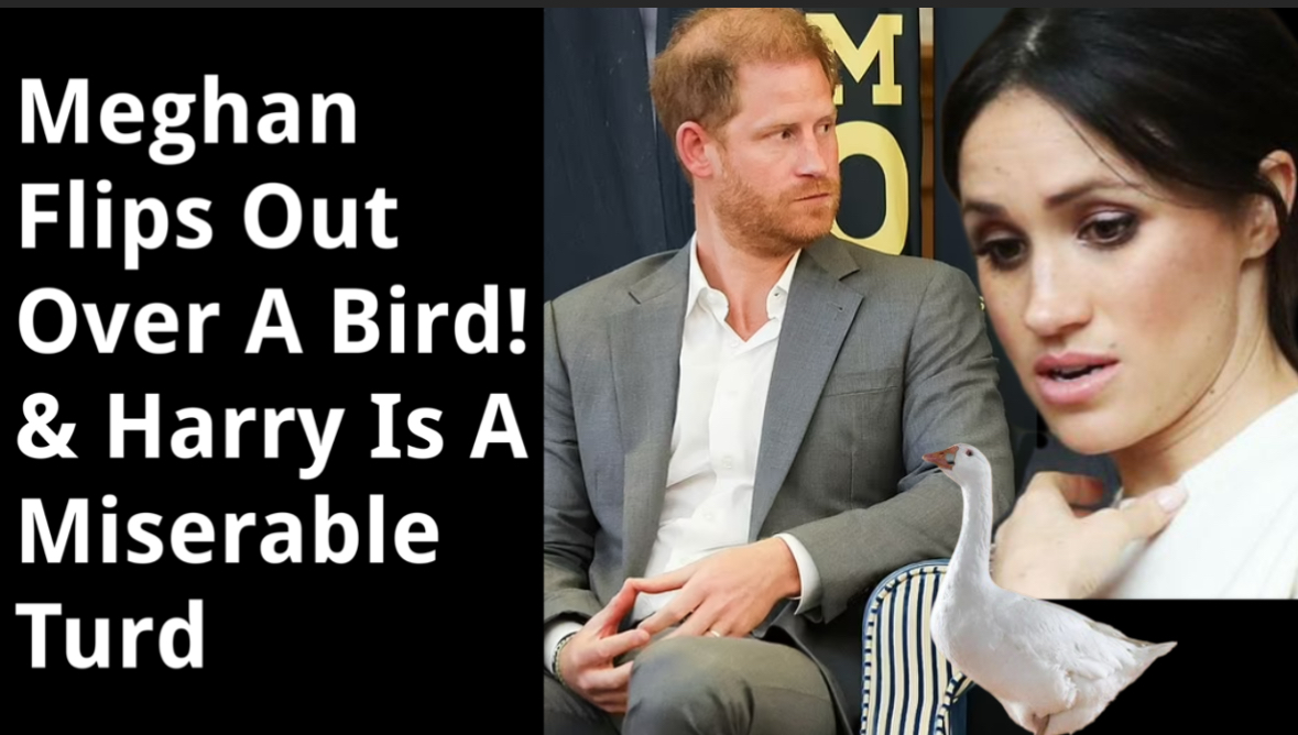 Remember when Meghan flipped out over a bird but won't speak out about the atrocities in the African Parks or that Nigeria will jail or stone LGBTQ members - that she is fine with? (while preaching feminism and equality) #FOHarry #MeghanMarkleEXPOSED 
▶️youtu.be/EcBqGD8gGhM?si…