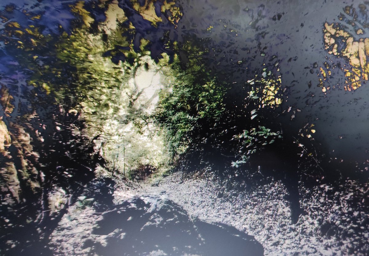 Proyectando La Raya de Tamara Benítez @LINEUPShorts <a href="/FInquietarte/">FundaciónInquietarte</a> <a href="/YolandaCruzL/">Yolanda Cruz López</a>