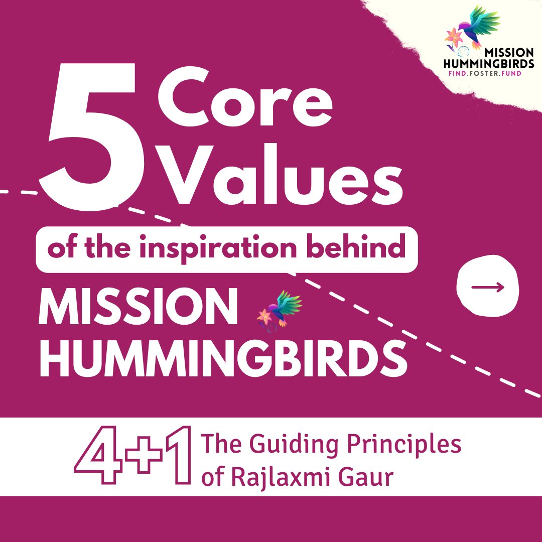 Mission Hummingbirds tweet media