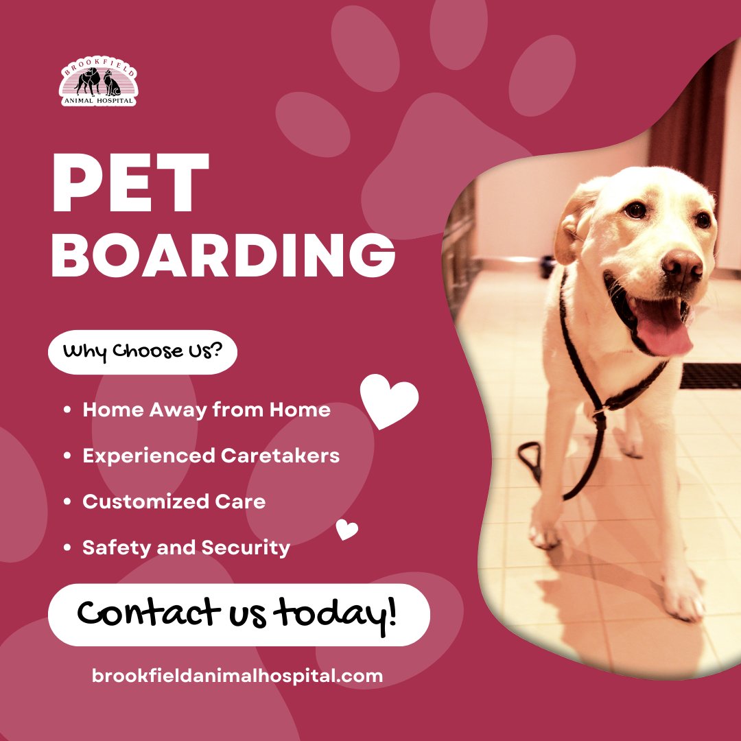 🐾 Adventure awaits, but so does peace of mind! Our boarding services offer a home away from home for your beloved pets. From cozy accommodations to attentive care, trust us to keep tails wagging while you're away. 🐶 #BoardingServices #PetCare brookfieldanimalhospital.com/pet-boarding-b…