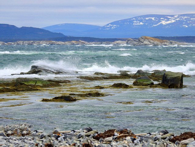 A cold looking ocean this morning. It will only get up to around 6 degrees here today. Our temperatures have gotten cool again with the foggy weather we have experienced lately.