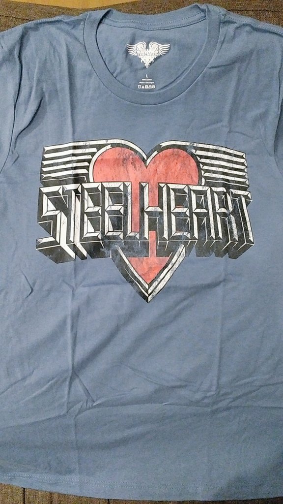 帰宅したら先日衝動買いでポチッたSTEELHEARTのTシャツが届いてました。Steel Blueというグレーっぽい青色がなかなか渋くてカッコイイ。

#STEELHEART