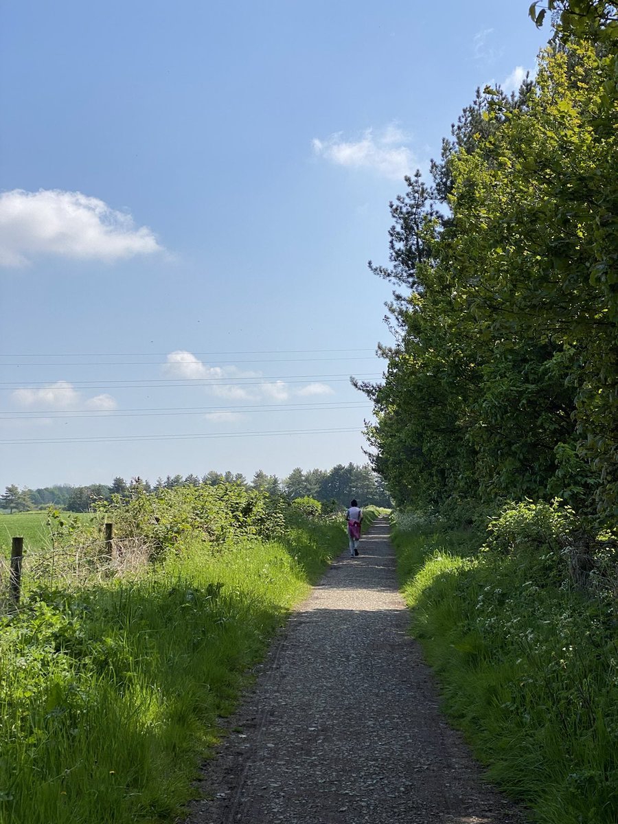 zanzaneet's tweet photo. Finally some blue skies, sunshine and the muddy patches are fast disappearing from the trails. Only problem now is my running buddy (husband) moaning about it being too hot. #britishspring #afternoonrun https://t.co/7o84Q9mgij
