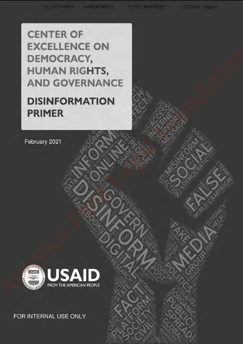 Informe de la Agencia USA para el Desarrollo Internacional (USAID) describe cómo la agencia gubernamental ha estado alentando a gobiernos, plataformas tecnológicas,medios de comunicación tradicionales y anunciantes a trabajar juntos para censurar grandes franjas de Internet