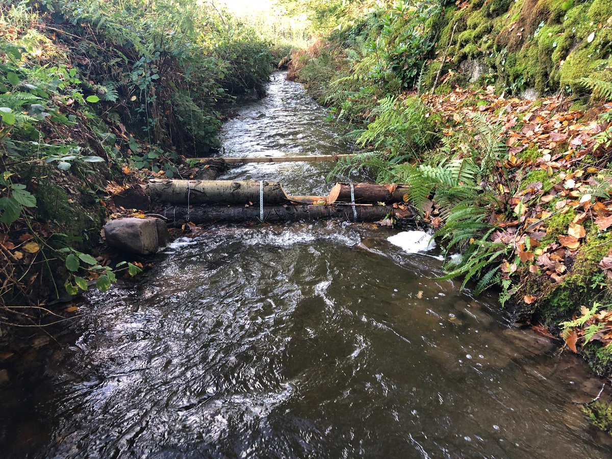 Darragh Murphy tweet media