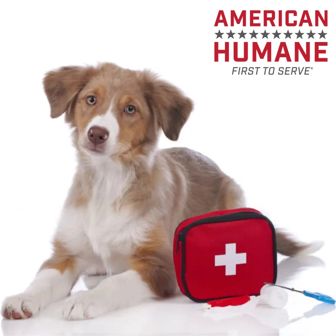 Today is National Animal Disaster Preparedness Day. Natural disasters can strike unexpectedly, posing risks to both humans and animals. Check out American Humane’s checklist so you can prepare an emergency kit to protect your pets during times of crisis. bit.ly/3NhSsEq