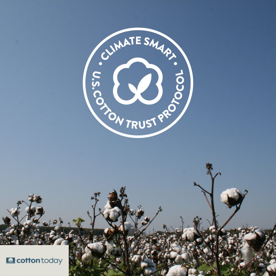 U.S. #cotton growers play a key role in reducing carbon emissions. We are proud to offer our knowledge to the #ClimateSmartCottonProgram to help increase the adoption of climate smart agriculture practices, benefiting farmers & the environment. trustuscotton.org/climate-smart-…