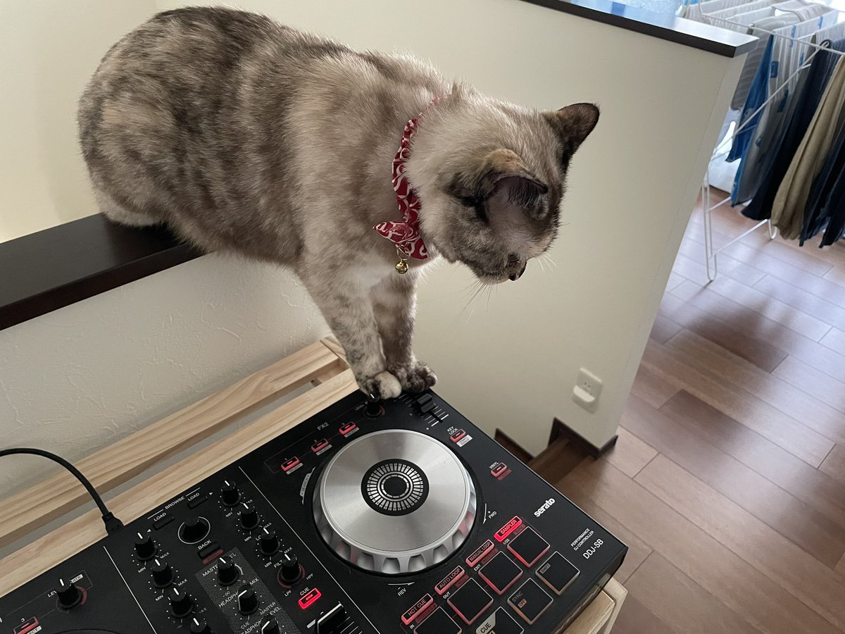 SoulLump's tweet photo. こんなの自己満の遊びって分かってるよ。1人で遊んでるだけなの。でもそんなにピッチいきなり下げられたら、俺も訳わからないよ。 https://t.co/XtQFgbHQ1C