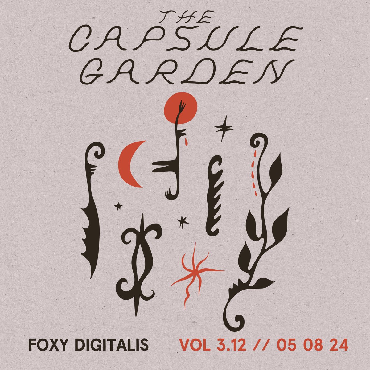 New Capsule Garden, hey hey! This week w/ Zosha Warpeha, Luke Stewart, Carlos Giffoni, Opuntia, Shakali, Jason Kahn & Alice Hui-Sheng Chang, marine eyes, Reign of Ferns, zakè, & Géométries. A good day for a brain melt. foxydigitalis.zone/2024/05/08/the…