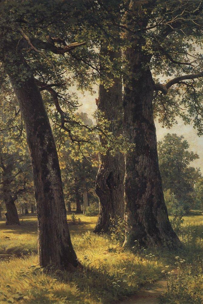 Oaks, 1887 Get more Shishkin 🍒 linktr.ee/shishkin_artbot
