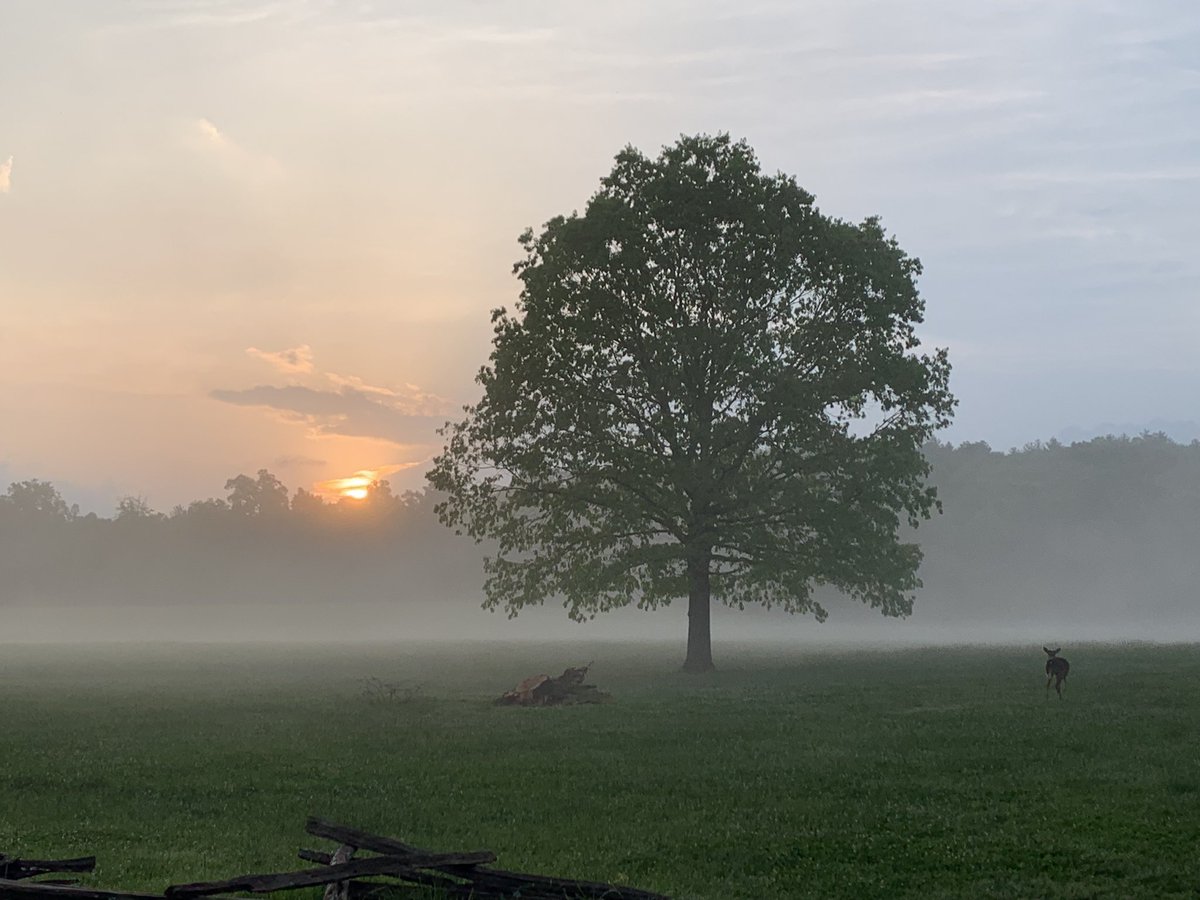 Sunrise in Cades Cove, GSMNP this morning…