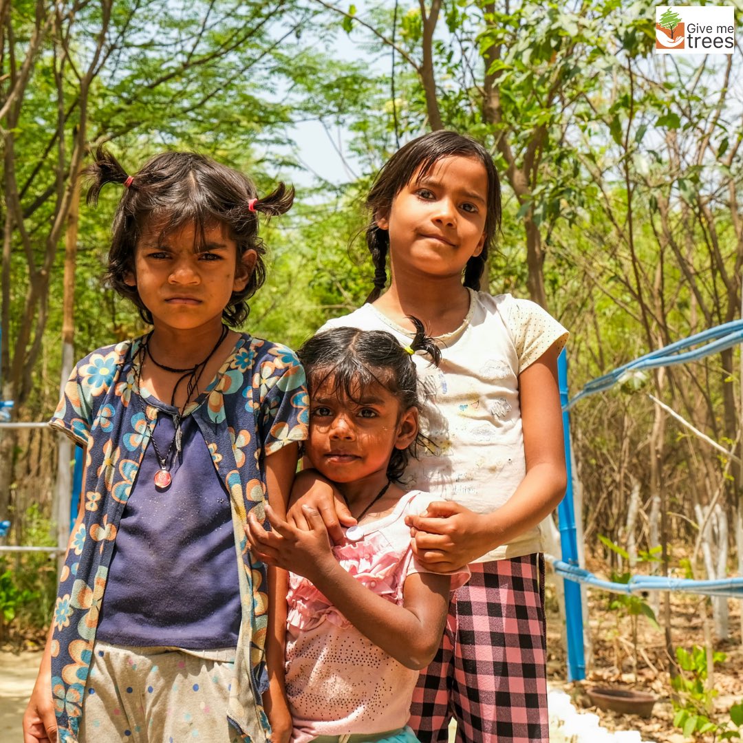 Sorkha: A symphony of emotions resonating through nature's guardians and the pure wonder of children. Amidst the verdant foliage, the 'Give Me Trees' team cultivates hope and harmony, while young hearts discover the timeless allure of plant life. 🌿💚 #givemetrees #sorkha