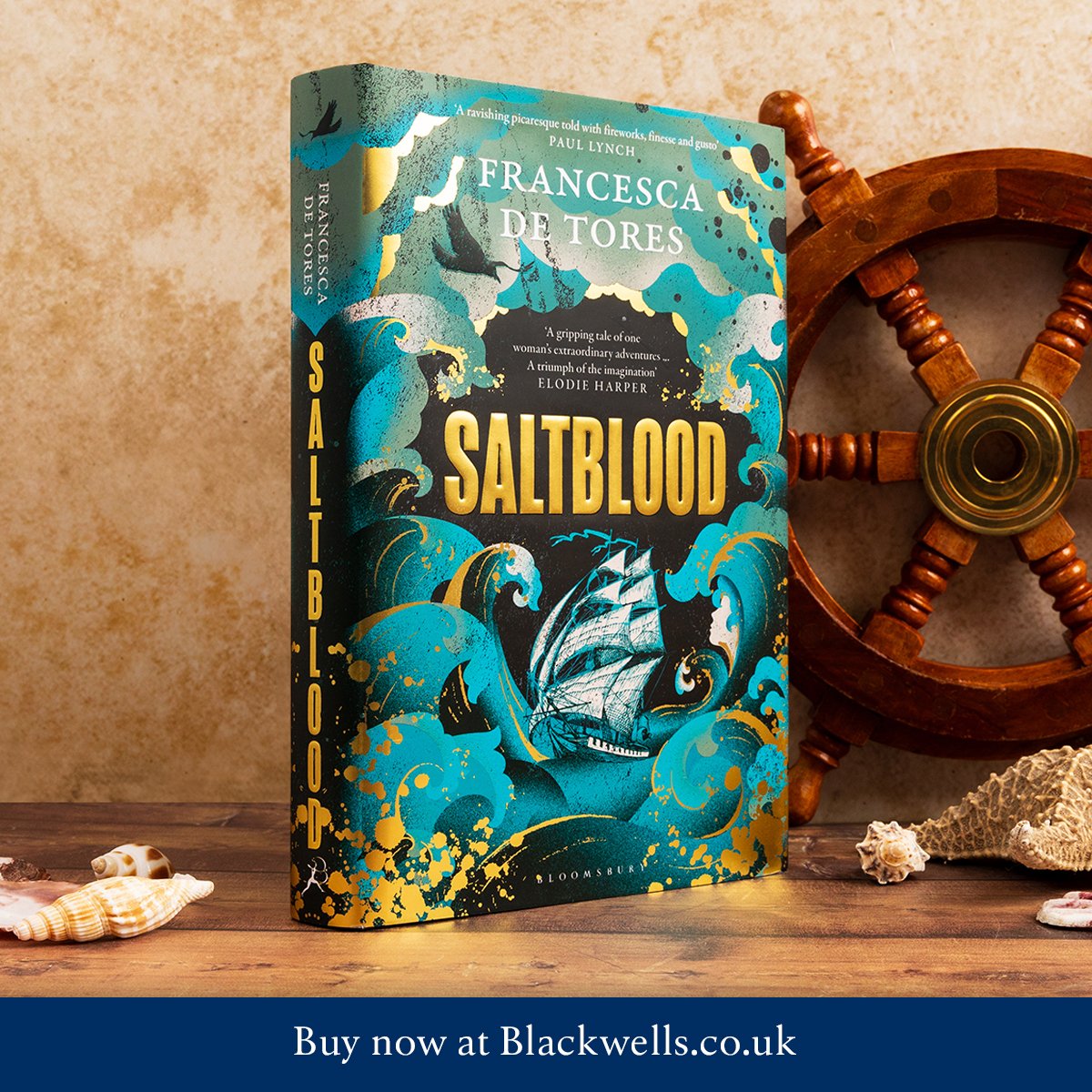 An epic literary historical novel set during the Golden Age of Piracy, about the life of the infamous female pirate Mary Read. blackwells.co.uk/bookshop/produ…