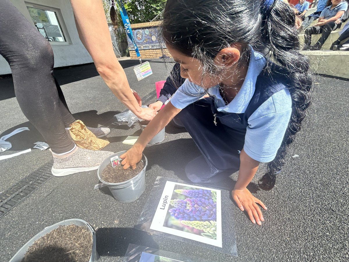 Year 2 had a great time planting different seeds today as part of their ongoing science topic of planting 🪴