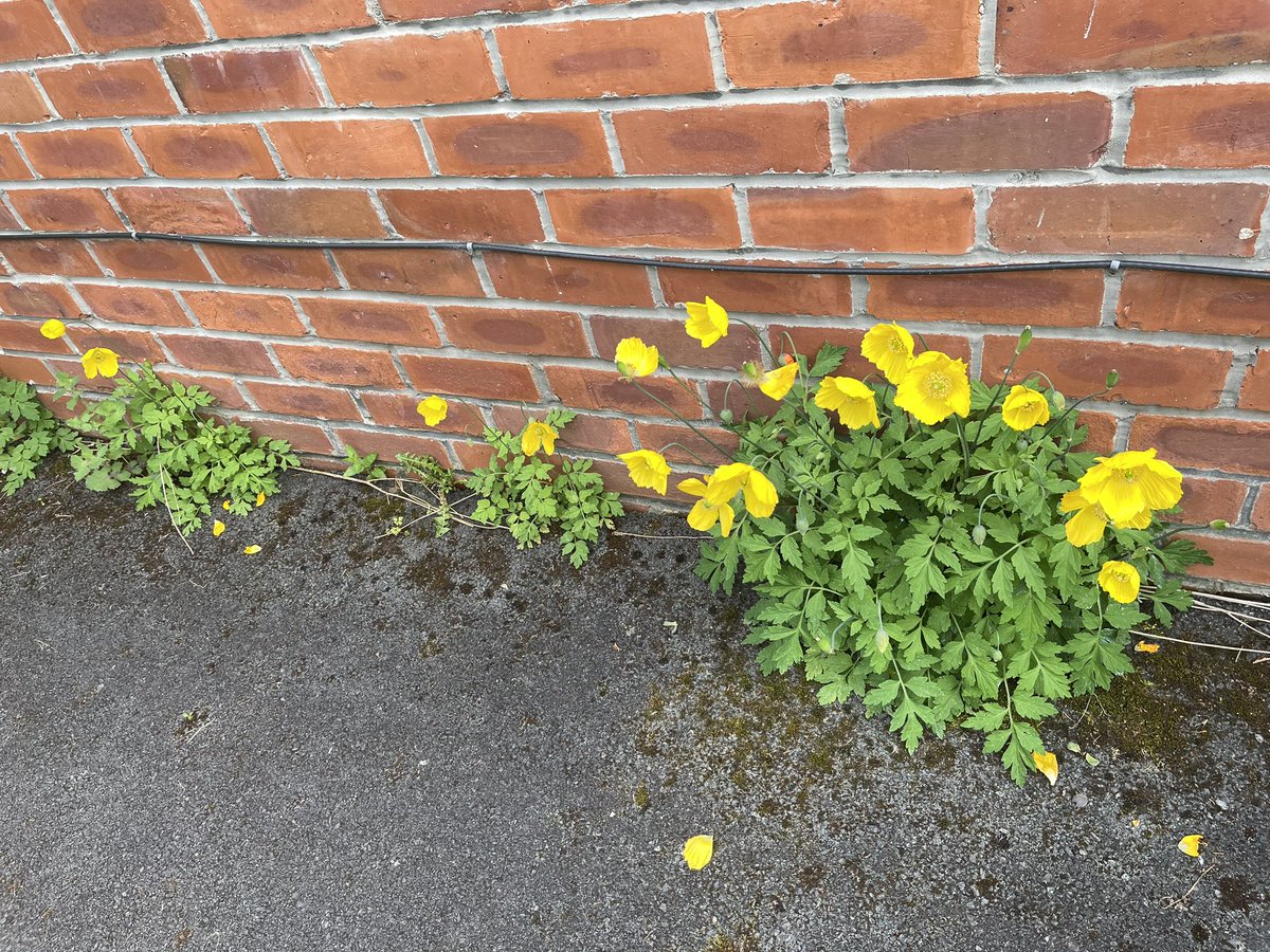 Urban_Manc tweet media