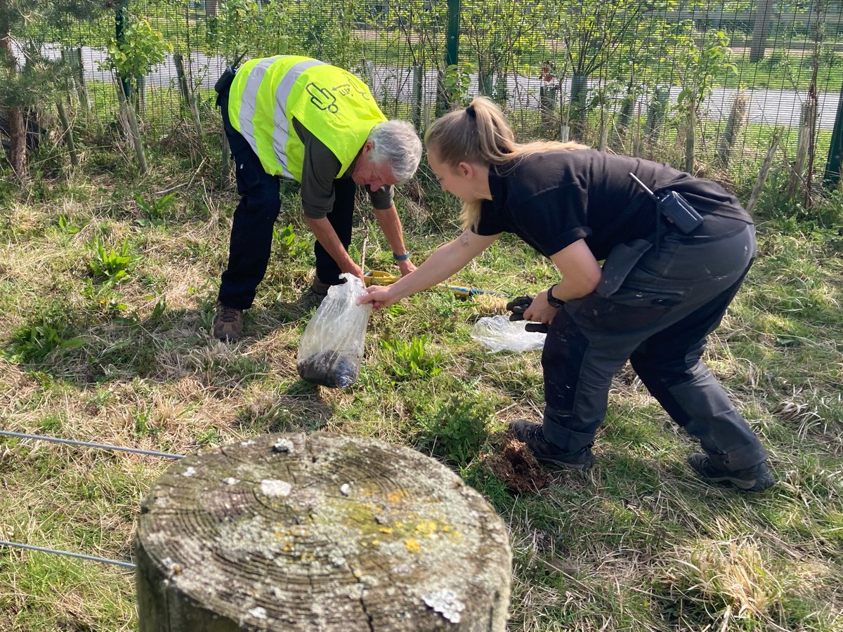 Helen Ford tweet media