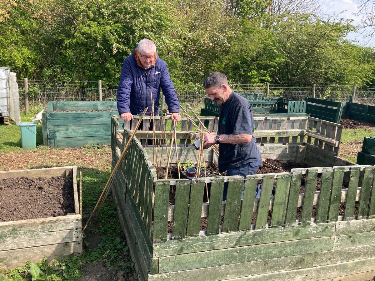 Helen Ford tweet media