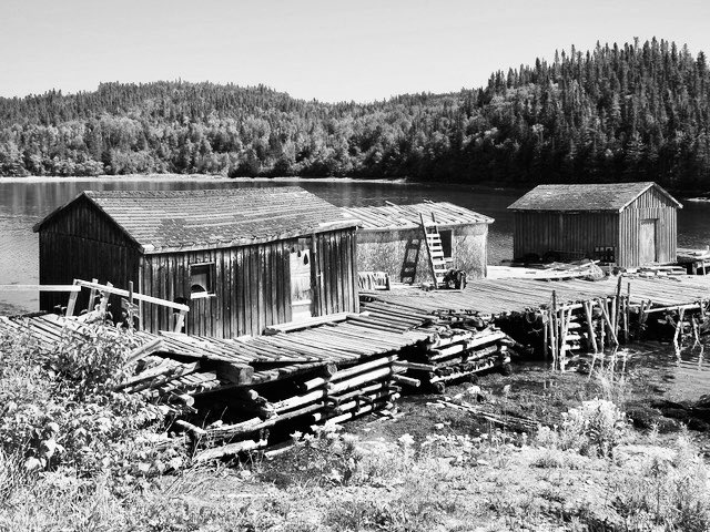 My B&W picture today is an old fish stage on the northeast coast of Newfoundland. Here a stage is a wharf built with logs that has fish sheds on it. I hope you are all having a good week so far, and until tomorrow then friends……