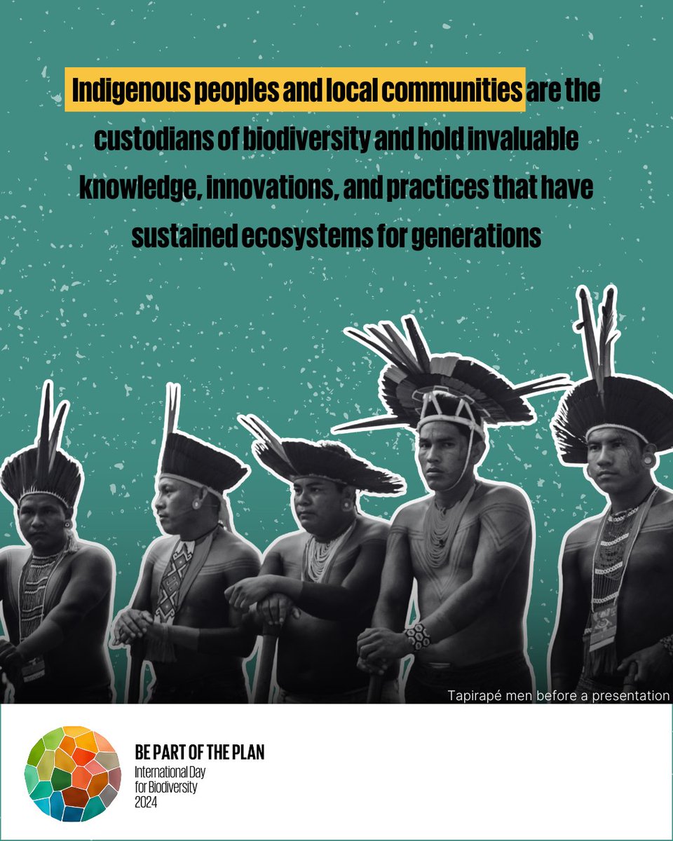 Recognizing and respecting indigenous peoples and local communities’ contributions towards the conservation and sustainable use of biodiversity and their rights is essential. Learn more: cbd.int/biodiversity-d… #BiodiversityDay #PartOfThePlan