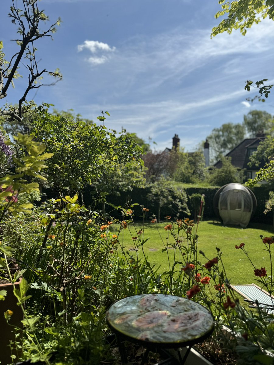 Im sitting in my garden and it’s making me feel so happy! Sunshine and Greenery is good for the soul.