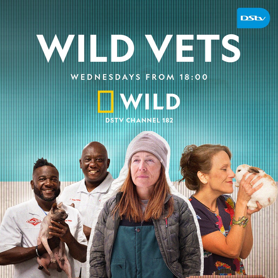 Take a wild ride through the jungle of vet life, where every day is an adventure, and every patient has a tail to tell! #WildVets