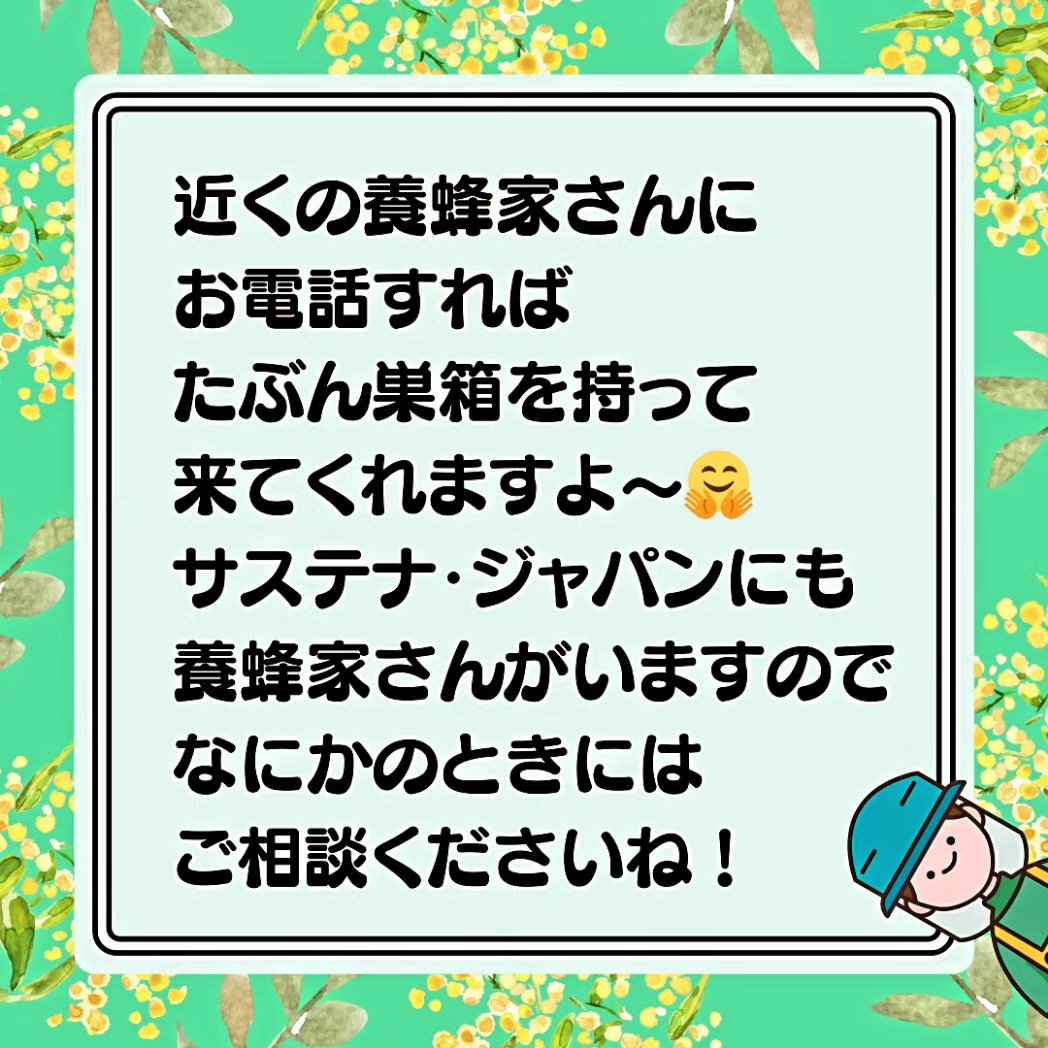 NPO_SJ's tweet photo. この時期、ミツバチの巣に新しい女王蜂が生まれると仲間を半分連れて巣を出ていきます。

これを分蜂（ぶんぽう）といいます🐝
ものすごい数にびっくりしてしまいますが攻撃性はありません。

小さな生き物も含めて持続可能（SDGs）を目指せるといいですね！🤗

#生物多様性 　#ミツバチ　#分蜂 https://t.co/oiJmUaCDT0