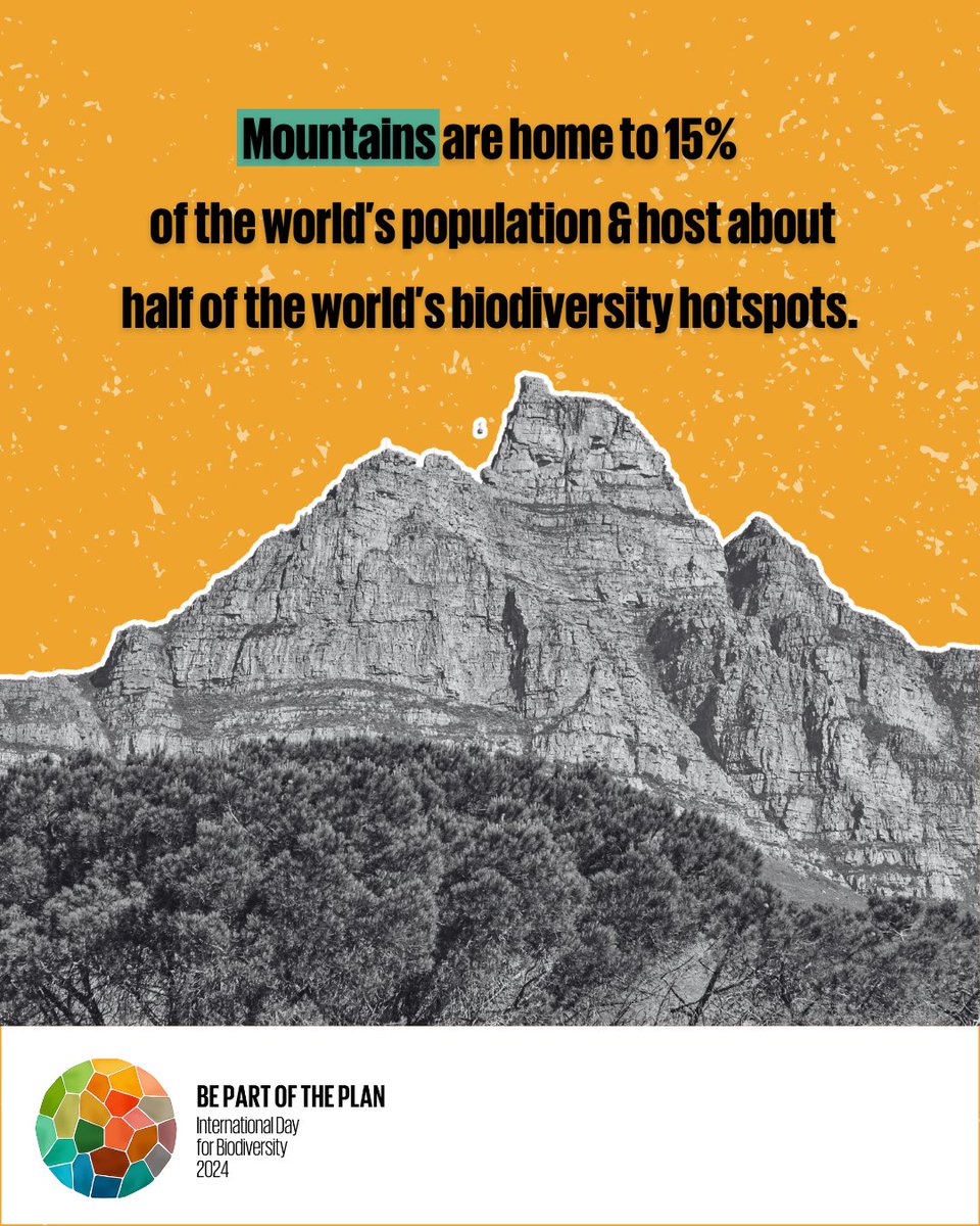 Mountains are home to 15% of the world’s population & host about half of the world’s #biodiversity hotspots.

Wherever you live, #BiodiversityDay on May 22 reminds us that we can all do our part to safeguard the #biodiversity around us & be #PartOfThePlan.
cbd.int/biodiversity-d…