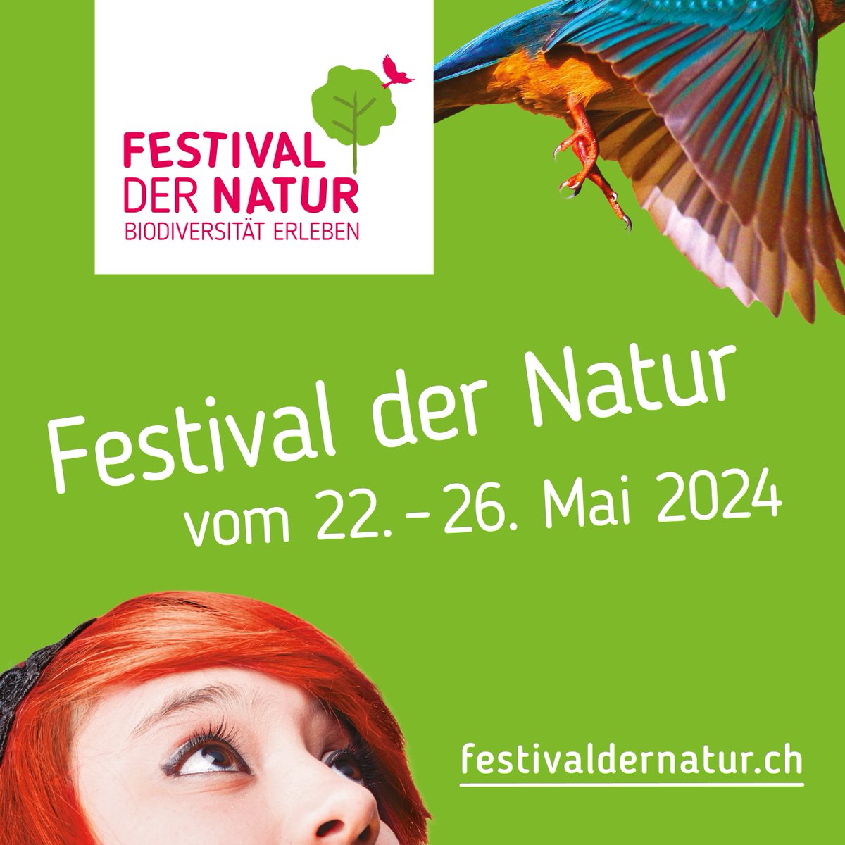 Das Festival der Natur beginnt schon bald und auch dieses Jahr bieten wir eine spannende Exkursion an.
jungfraualetsch.ch/exkursion-trad…
Jetzt anmelden, dabei sein und einen spannenden Nachmittag im Zeichen der Biodiversität erleben!