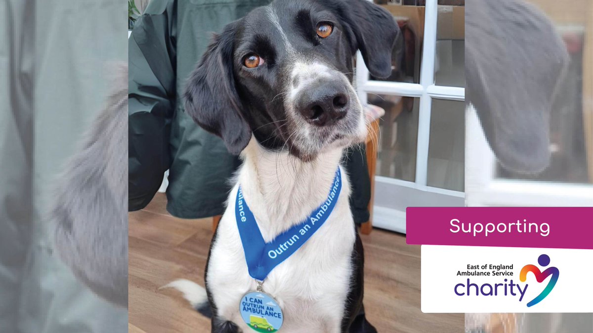 Inspired by our latest ambulances outrunners Hera and her human Simon? Why not turn your daily dog walk into a fundraising frenzy by joining our Outrun an Ambulance challenge and raise funds for those who save lives every day. 🐶 Sign up today 👇 justgiving.com/campaign/OAAEE…