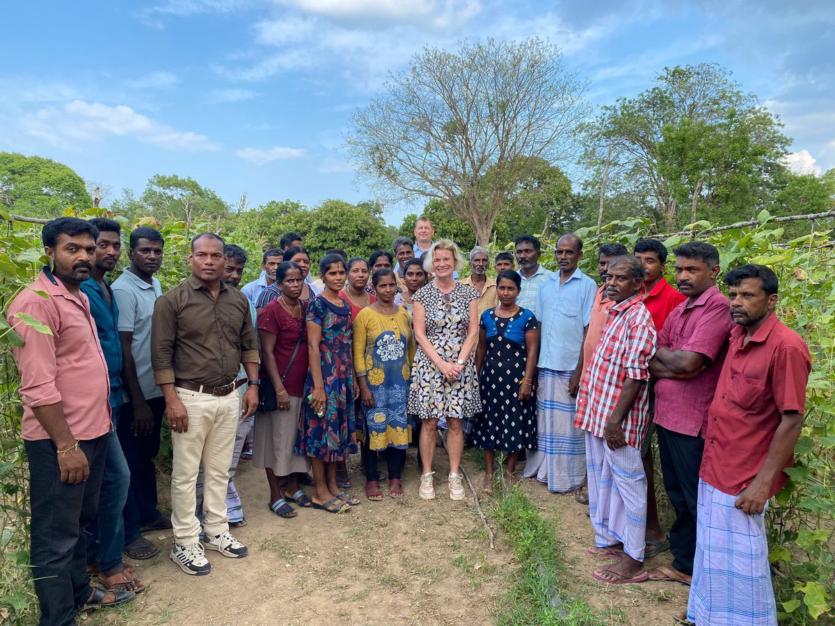 It’s time for another example of woman-power 🤛 🇳🇴 supports @ilo on development & reconciliation in 🇱🇰 Northern Province. Met with women seaweed growers & farmers, part of the 🇳🇴-funded PAVE project with @ILOColombo True leaders, equality-fighters & game-changers 👏