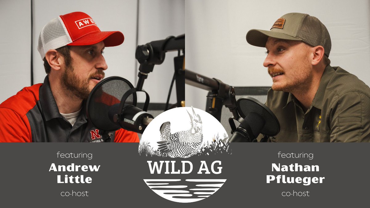 Have you listened to our new podcast yet? Andrew Little (@awesmlabdoc) has joined forces with Nathan Pflueger of Nebraska @pheasants4ever to bring you thoughtful and lively discussions on conservation in ag-dominated areas. Listen here: podcasts.apple.com/us/podcast/wil…