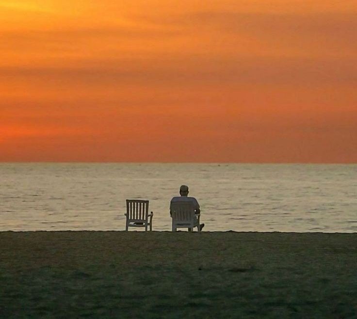 اردو ورثہ tweet media