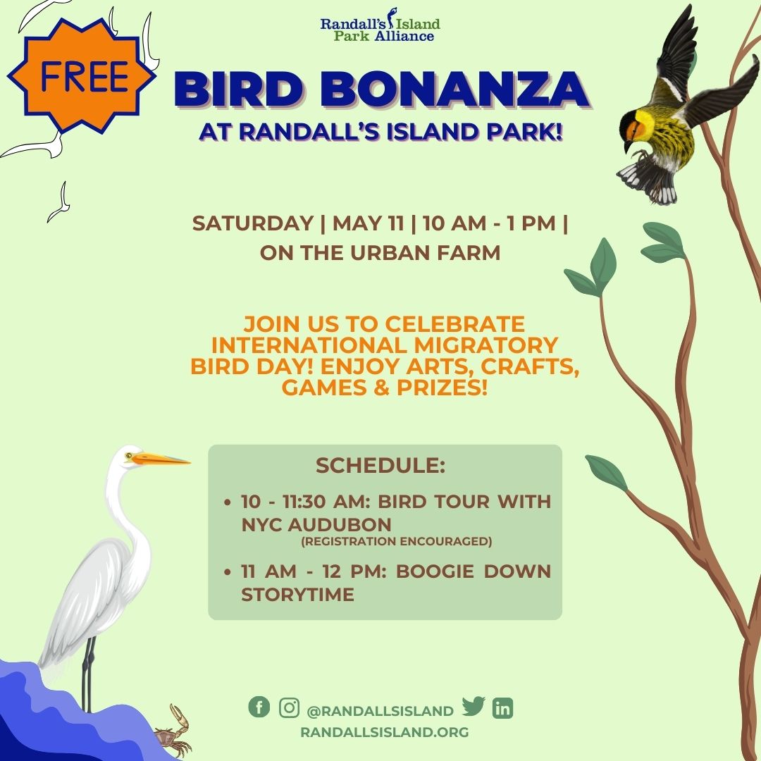 Are you ready for #BirdBonanza this Saturday?? Flock to the Urban Farm at 10 AM for a bird tour with @NYCAudubon followed by a interactive storytime with @boogiedownbooks! Enjoy other bird-themed crafts and games throughout the day! 🐦‍⬛🎨✨ Details: bit.ly/4dx42tF