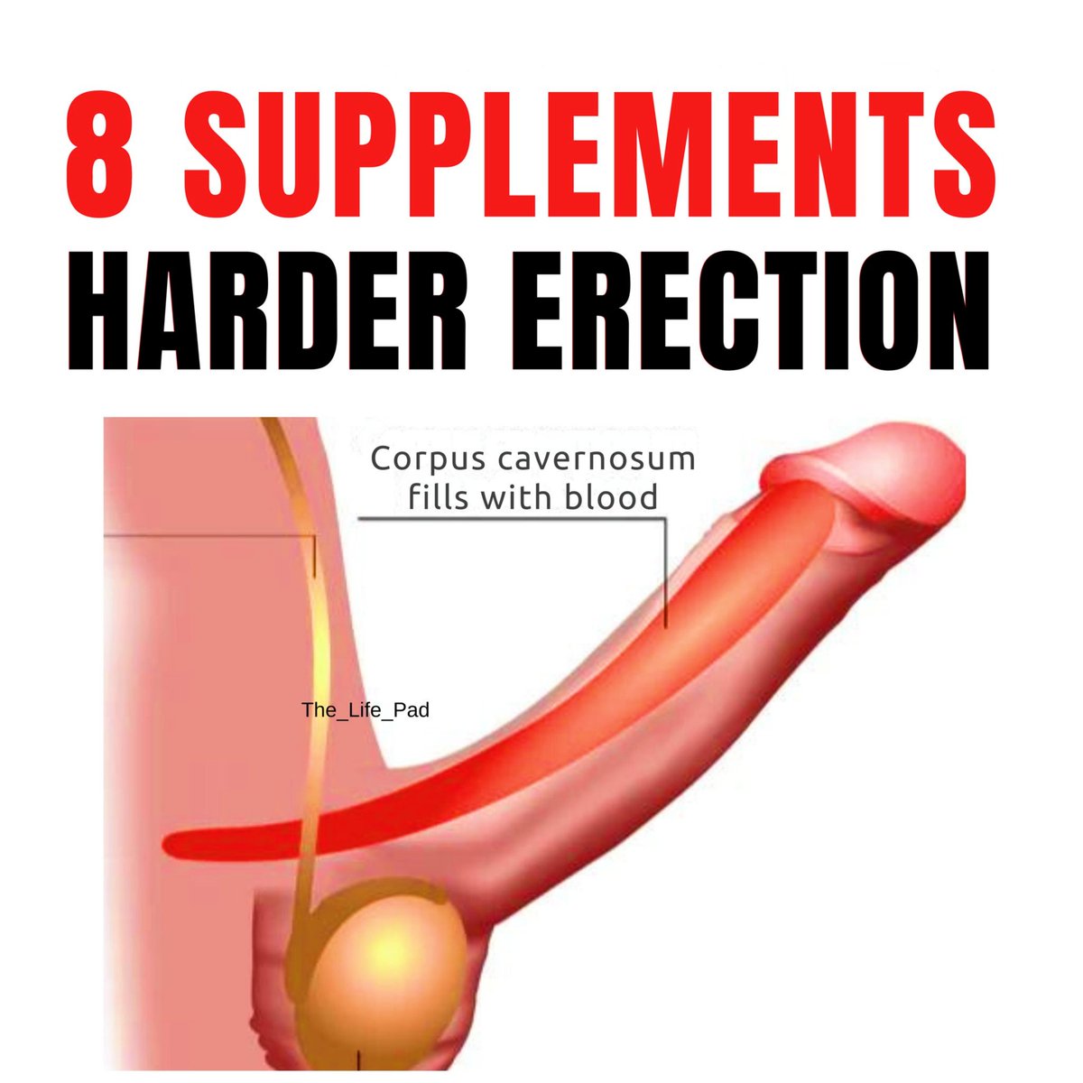 8 Supplements To Get Harder & and Performance Even Better In Bed:  🍆

(educational purpose)