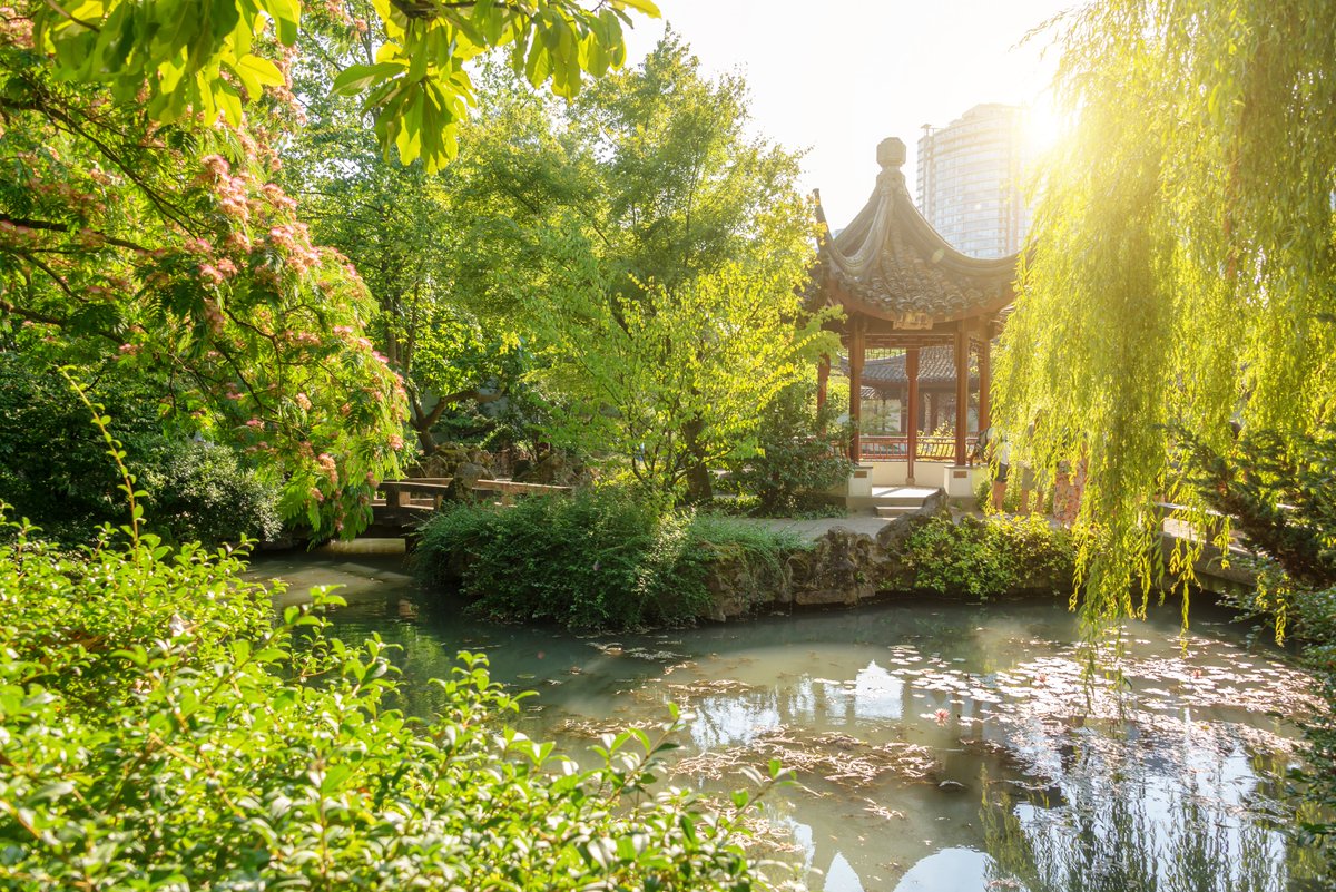 Situé dans le quartier chinois de #Vancouver, le magnifique Jardin chinois classique Sun Yat-Sen permet aux visiteurs de se promener dans les jardins, d’observer les expositions et de participer à des événements et à des ateliers. Quelles plantes aimeriez-vous voir?🌱