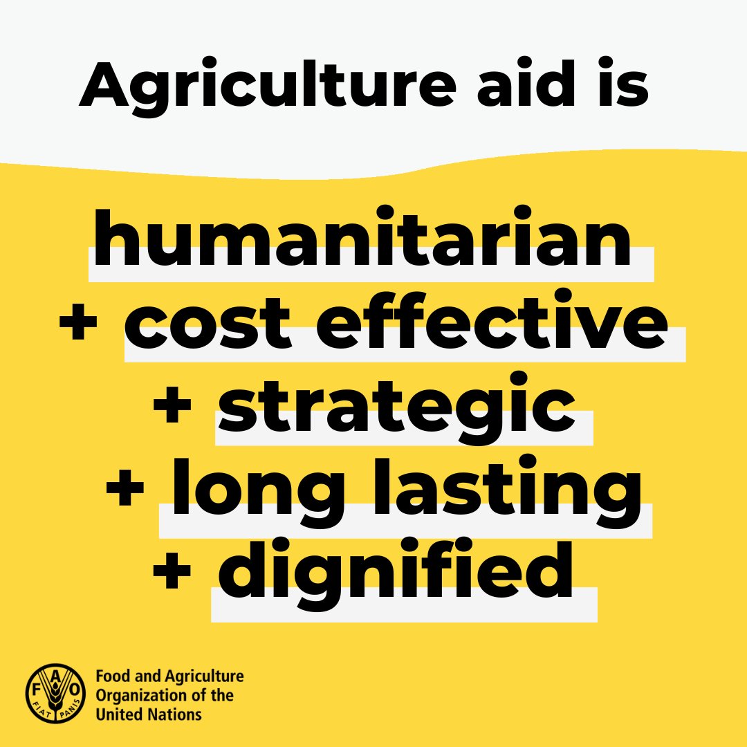 Agriculture is massively underfunded in emergencies despite being one of the most cost-effective humanitarian frontline interventions. We must provide support in a way that reaches the most people with the least resources. bit.ly/3Np9LpY #AgricultureCan