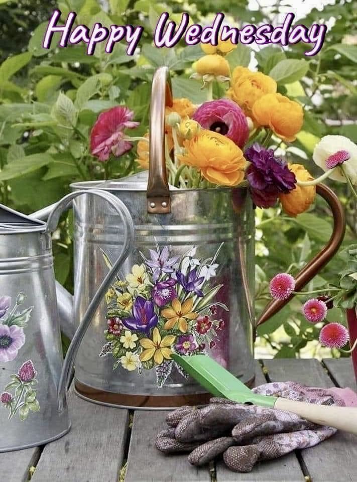Happy Wednesday🌼🍃🌸🍃🌺 #springtime #gardening