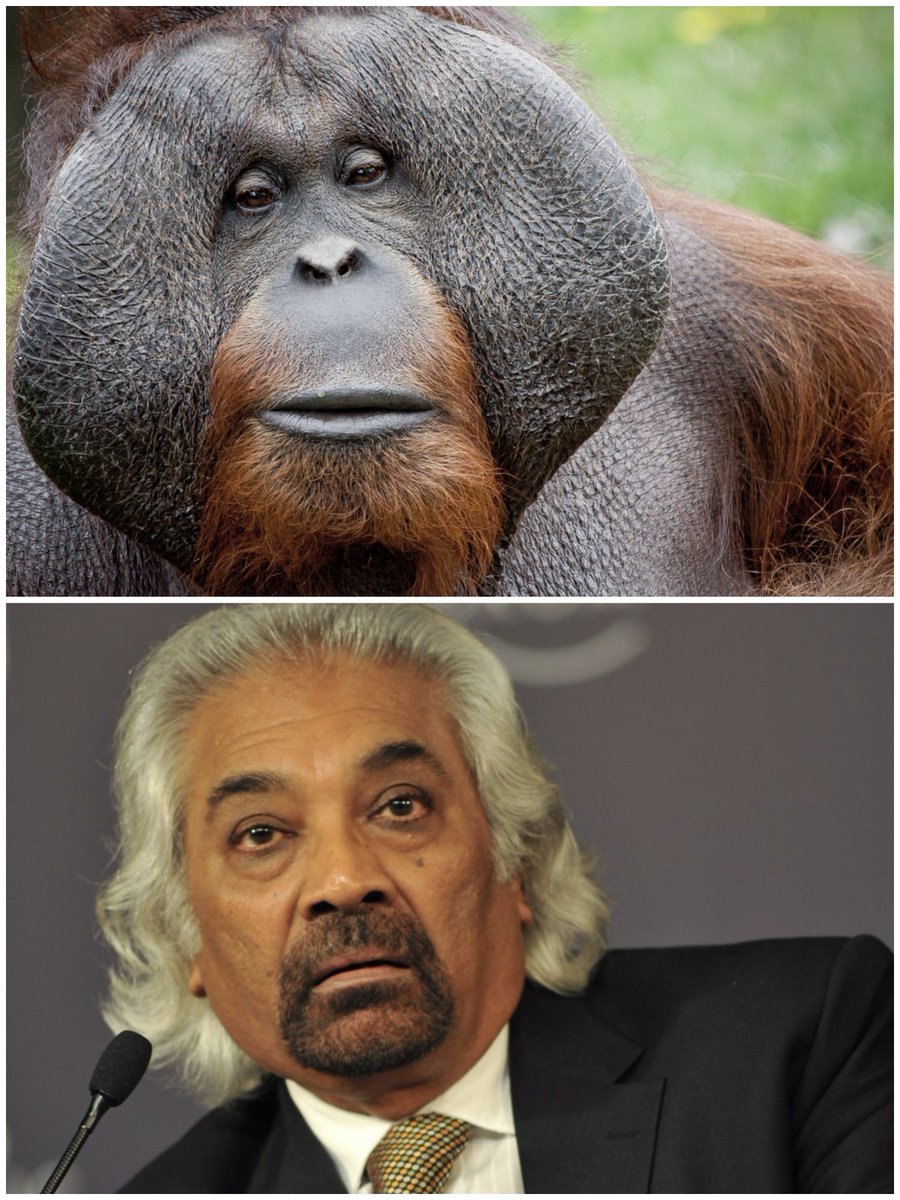 The Brain behind Congress, Sam Pitroda, resigns from post of Chairman, Indian Overseas Congress.