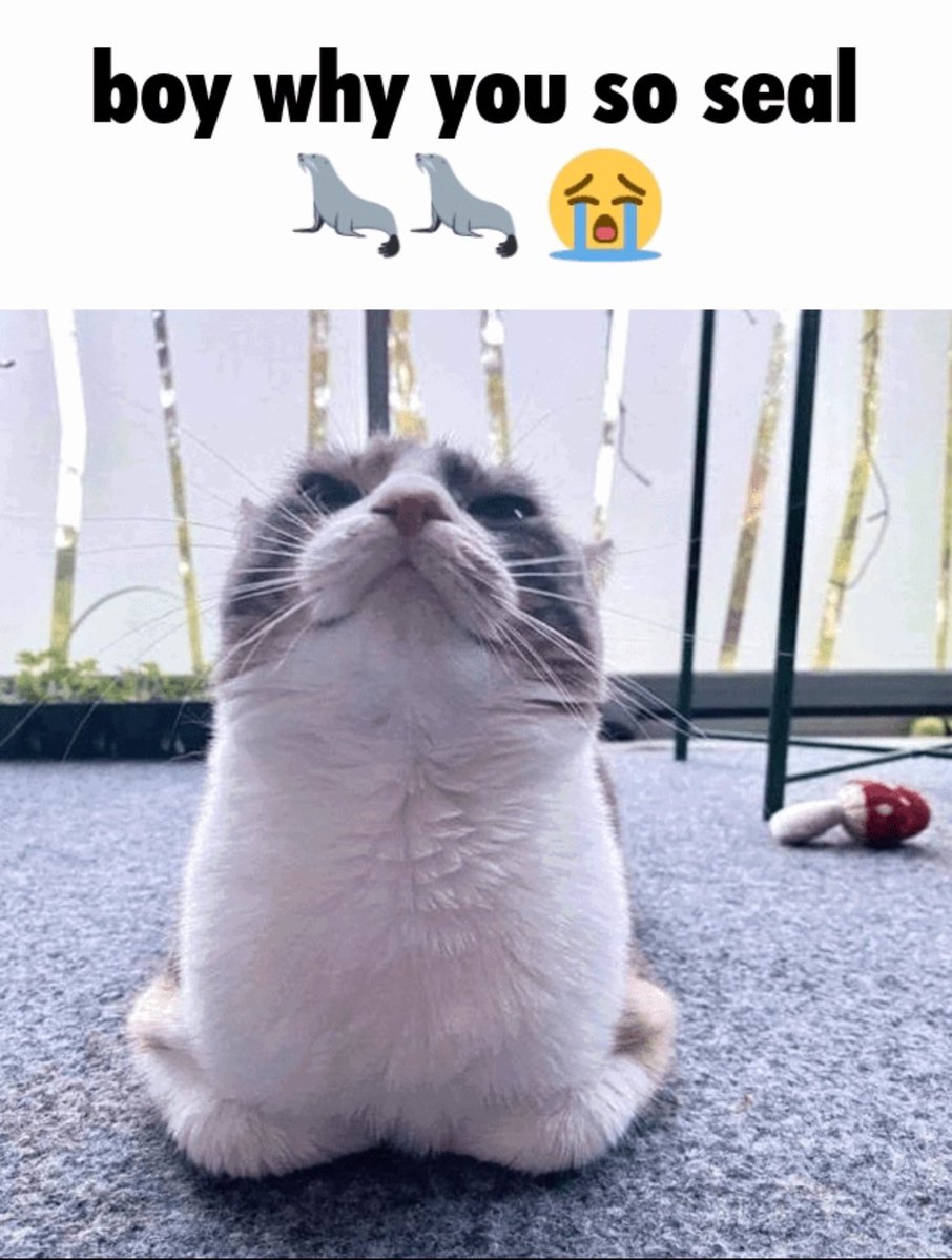 Funnyposter_'s tweet image. Morning funnies