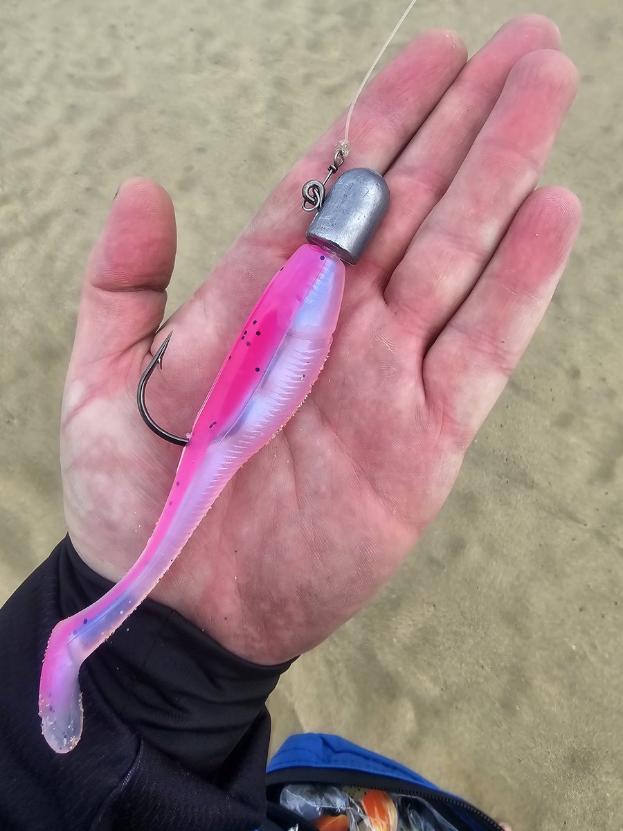 The female fish love the pink paddle tails.