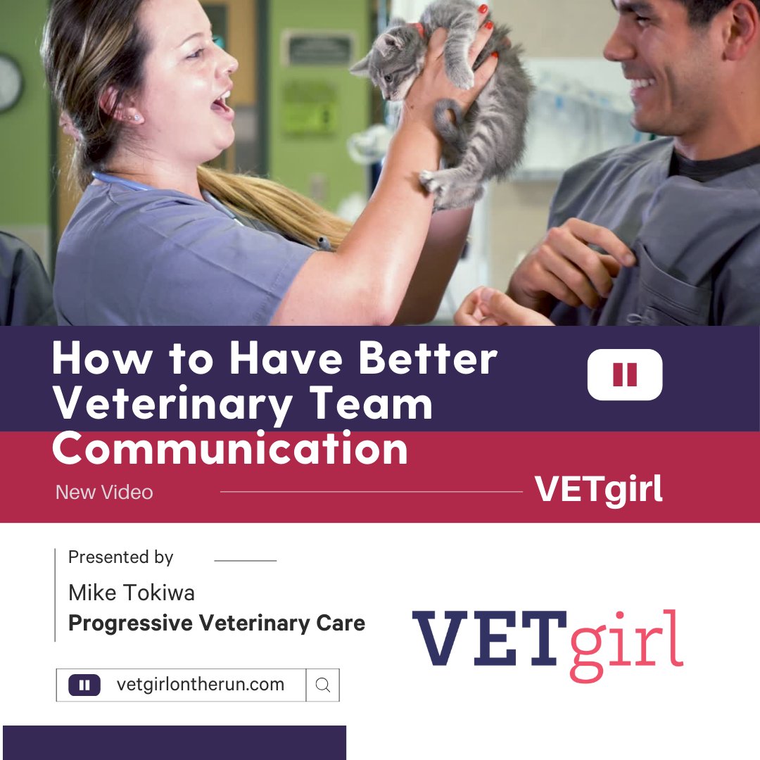 🎥 How to Have Better Veterinary Team Communication 👤 Dr. Mike Tokiwa at Progressive Veterinary Care discusses how to have better communication between the veterinary team. vetgirlontherun.com/videos/how-to-… #vetgirl #veterinary #vetmed #VeterinaryMedicine