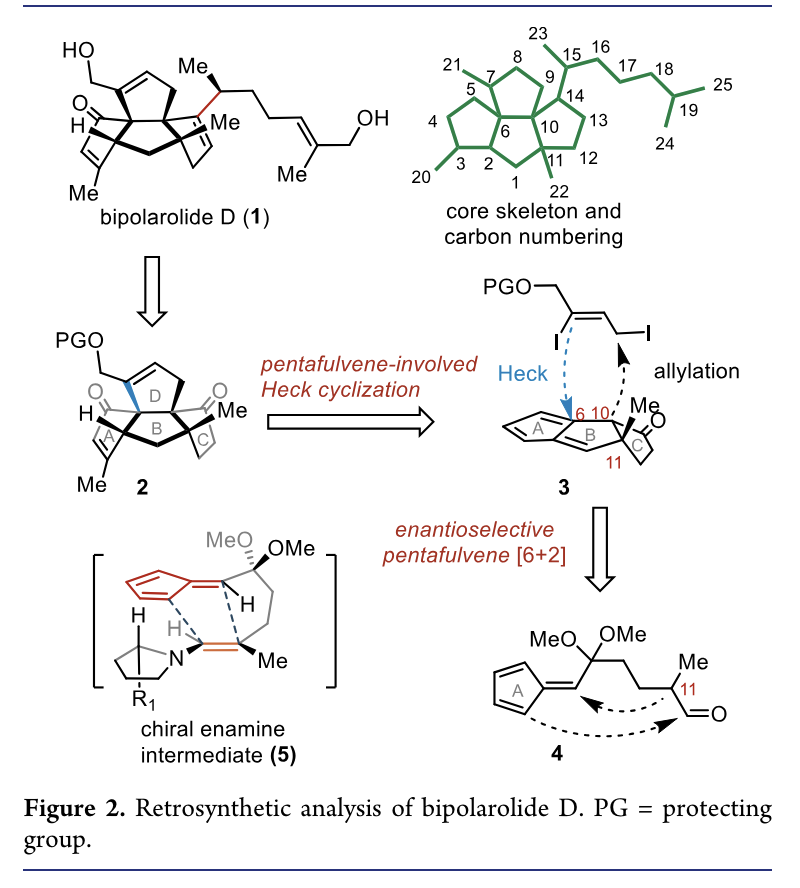 Total Synthesis tweet media