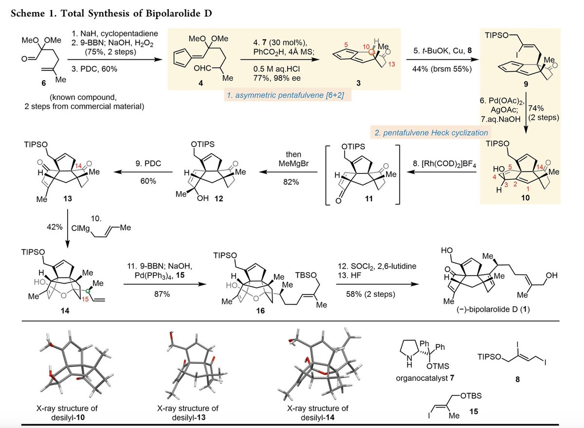 Total Synthesis tweet media