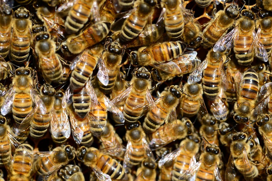 SciLine (@realsciline) on Twitter photo ICYMI: A full video of our recent briefing - Climate change and agriculture: pests, pathogens, and pollinators - is now on our website, with transcript. It's free for reporters to clip/quote/use in news stories. bit.ly/4aFr6EB
<a href="/JanPhytobiomes/">Jan Leach</a> <a href="/BurrackBugs/">Hannah Burrack ๐ชฐ</a> <a href="/mmlopezu/">Margarita Lopez-Uribe</a> ICYMI: A full video of our recent briefing - Climate change and agriculture: pests, pathogens, and pollinators - is now on our website, with transcript. It's free for reporters to clip/quote/use in news stories. bit.ly/4aFr6EB
<a href="/JanPhytobiomes/">Jan Leach</a> <a href="/BurrackBugs/">Hannah Burrack ๐ชฐ</a> <a href="/mmlopezu/">Margarita Lopez-Uribe</a>