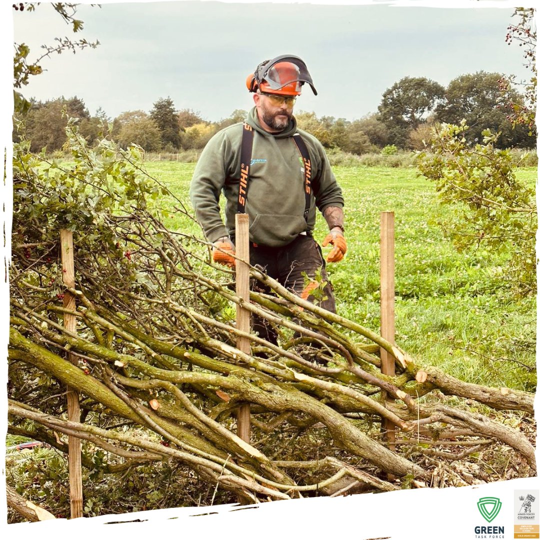 Did you know the @greentaskforce1   team is trained in Hedge-laying?

Hedge-laying is a traditional process of partially cutting through and then bending the stems of a line of hedgerows near ground level without breaking them.