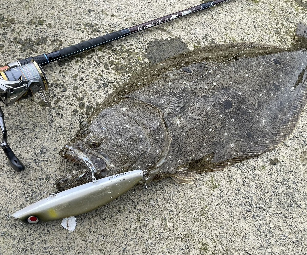 リッジライン　ハミングバード Ridgeline ハミングバード Ridgeline ハミングバード リッジライン